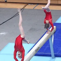 Med posameznimi finalnimi nastopi je svoje znanje simpatično predstavila tudi domača gimnastična prihodnost.