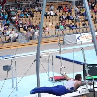 Zlato Bertonclju na konju z ročaji, bron Belakovi v preskoku (foto)