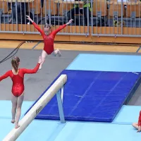 Zlato Bertonclju na konju z ročaji, bron Belakovi v preskoku (foto)