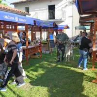 Več kot le knjige o kuhanju