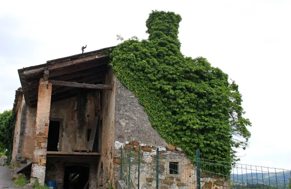 Na mestu stare bo Maja Rupnik Cigoj  gradila novo hišo tudi s pomočjo spodbud občine.