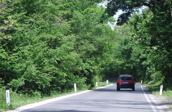 Ker je koprska občina pred tremi leti prenovila 900 metrov 
dolg odsek ceste med Šmarjami in Koštabono, želi zdaj z 
določenimi ukrepi preprečiti ponovno uničevanje in posedanje cestišča. 