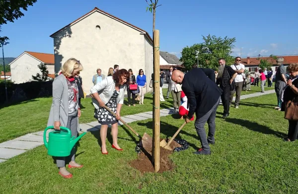 Na zelenici pred muzejem filmskih igralcev Divača so Marko Repnik, 
Alenka Štrucl Dovgan in Vladislava Navotnik posadili murvo, ki simbolizira podporo občine ljubiteljski kulturi. 