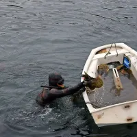 Največja selitev le&scaron;čurjev doslej