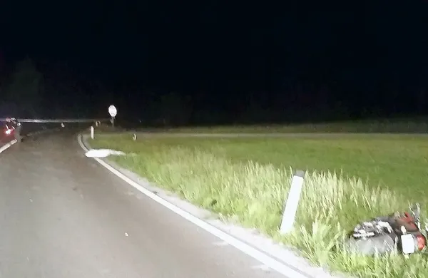 Tragična nesreča pri Hraščah se je zgodila, ko je družina 
konje, ki so popoldne zbežali, gnala proti domu.