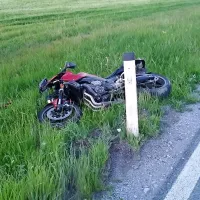 Motorist z Unca je po trku v konja  zaradi hudih poškodb 
umrl.