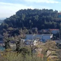 Ograjeno zaraščeno območje v Fiesi, kjer ima Dutb gradbeno 
dovoljenje za pet večstanovanjskih zgradb. Foto: Arhiv PN