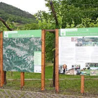 &Scaron;marje, vasica v osrčju gričev in gostoljubnih ljudi