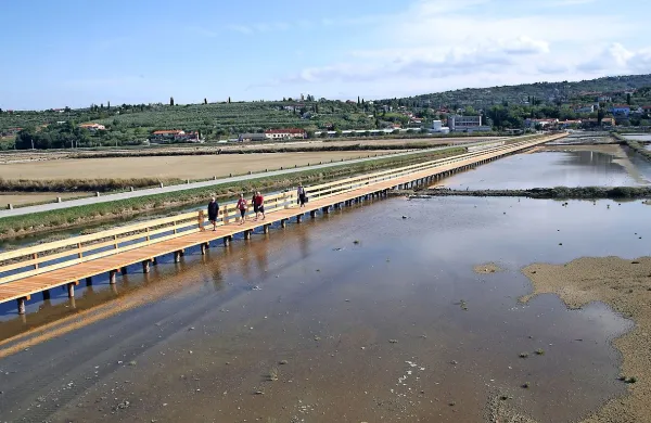 V Sečoveljskih solinah o odprtih vpra&scaron;anjih