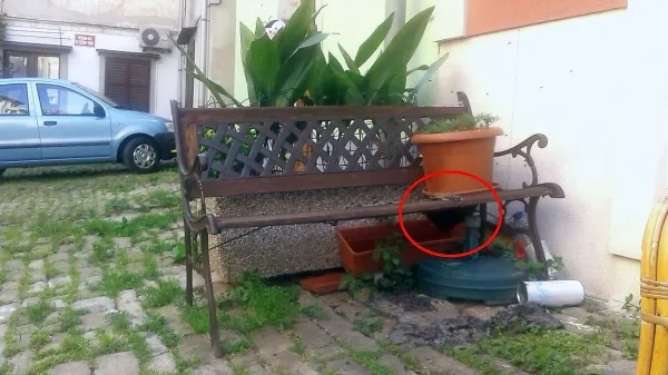 Krajani so najprej zaslišali nenavaden zvok, na pravo presenečenje pa so naleteli pod klopjo na Vodnikovem trgu.