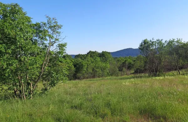Gmajna okrog Krajne vasi je za vaščane pomembna za prihodnost. Krajane je zmotila tudi 
nizka cena - 19 centov za kvadratni meter, po kateri jo namerava občina prodati. Toliko lahko 
dobijo že z eno sečnjo dreves.