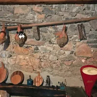 Na potepu z muzejskim vlakom