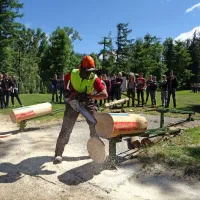 Prikaz žaganja z motorno žago. 