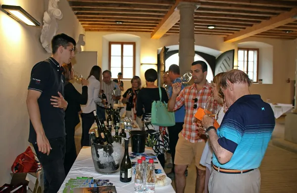 10. &scaron;tudentski festival vin