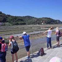 Foto sprehod po strunjanskih solinah