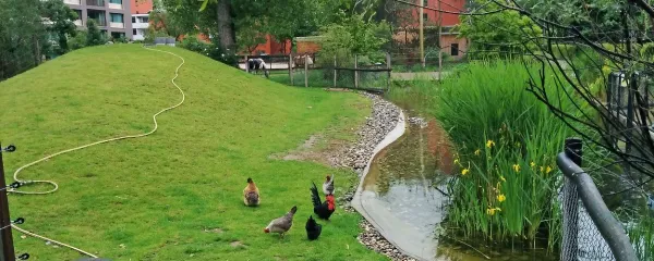 Živalski park odlikujejo urejene poti in gredice ter ribniki. V njih živijo ribe, želve in žabe, race pa gostujejo.