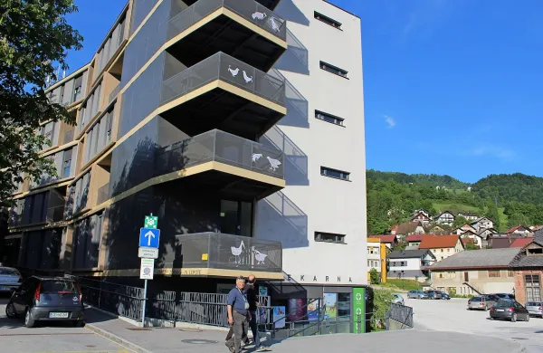 Ptice, neobičajno velike čipke, so poživile balkone Doma 
upokojencev. 


