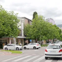 Zrasla so drevesa, zrasle so hi&scaron;e