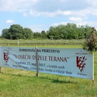 Kjer je teran doma