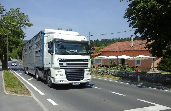 Potem ko bodo 19. junija Italijani zaprli promet za težke tovornjake čez  Bazovico, jih bodo 
dodatne prometne oznake usmerjale na Fernetiče in na avtocesto. Tako naj bi se zmanjšal 
tovorni promet med  Kozino in Starodom, kjer vsak dan drvi približno 2000  težkih tovornjakov.   

