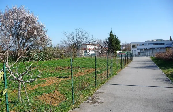 Za vrtičke na nepozidanih stavbnih zemljiščih ob industrijskih 
halah se je potegovalo  skoraj petkrat več Izolanov  od 
razpoložljivih površin.  