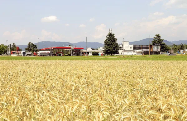 Lesnina bo  po desetih letih od nakupa zemljišča uresničila načrte in na MMP Vrtojba zgradila 
velik pohištveni center. To bo tudi prva večja uspela naložba na tem strateškem območju. 