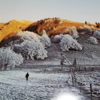 Silva Obid je za razstavni list izbrala fotografijo, na kateri je ujela domači vršac Porezen v času 
temperaturne inverzije.