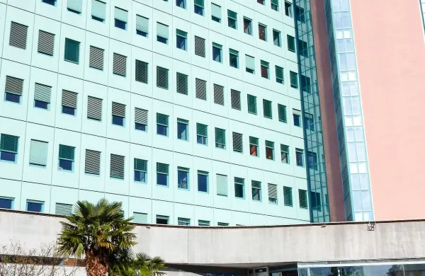 Svojci pokojnega Steva Petrovića od šempetrske bolnišnice 
zahtevajo dobrih 354.000 evrov.