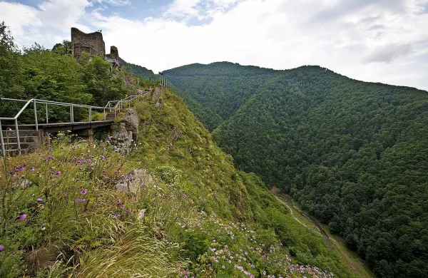 

Grad Poenari