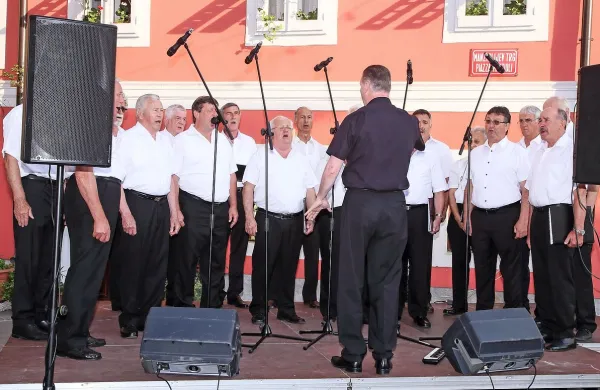 Oljke, vino in ribe pritegnili domačine in turiste (foto)