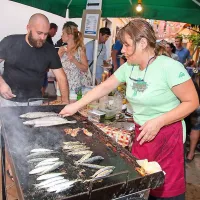Oljke, vino in ribe pritegnili domačine in turiste (foto)