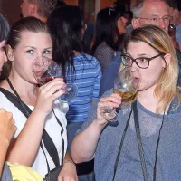 Oljke, vino in ribe pritegnili domačine in turiste (foto)