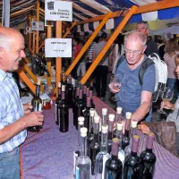 Oljke, vino in ribe pritegnili domačine in turiste (foto)