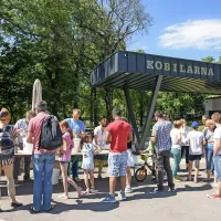 Obiskovalci Lipice so pobarvali dober kilometer ograje (foto)
