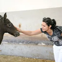 Obiskovalci Lipice so pobarvali dober kilometer ograje (foto)