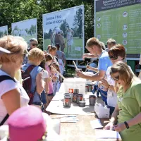 Obiskovalci Lipice so pobarvali dober kilometer ograje (foto)