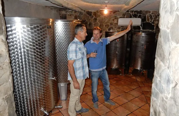 Poletje odprtih kleti obiskovalce vabi v kraške hrame, kjer bo 
od kozarcu vina tudi prijetno hladno. 