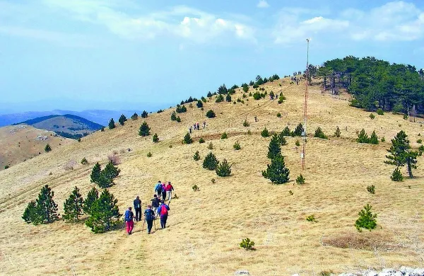 Pod streho tudi Milanja trail