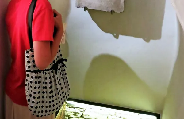 Nova zbirka Antični lapidarij v koprskem muzeju
