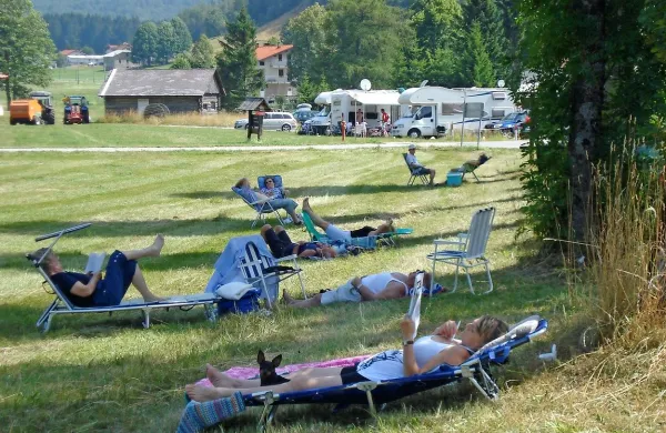 Priporočljivo je, da se ob največji vročini ljudje zadržujejo v 
senci oziroma v notranjih prostorih ter se izogibajo fizičnih 
aktivnosti na prostem.