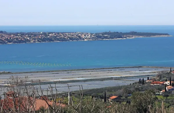 Arbitražno sodišče bo s sodbo določilo potek meje med 
Slovenijo in Hrvaško na kopnem in morju, stik Slovenije z 
odprtim morjem in režim za uporabo ustreznih morskih 
območij. 