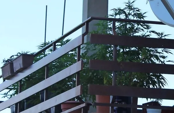 Po torkovem obisku policistov je balkon v okolici Sv. Antona 
zopet prazen in pust.