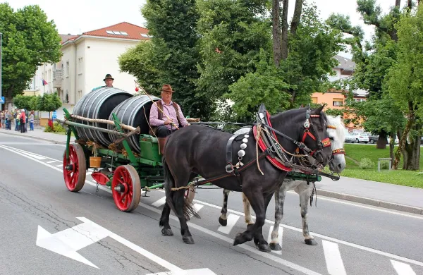 Povorka voz bo v nedeljo glavna točka furmanskega praznika.
