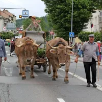 Že 26. Furmanski praznik