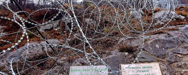Tragikomedija zeljnatih glav