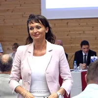 SDH kot buldožer nad Luko
