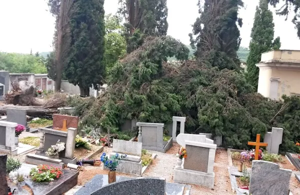 Šele v torek, ko bodo odstranili porušeno drevje, bo znano, 
kakšna je škoda na nagrobnikih.