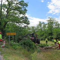 S posekom dreves bodo po mnenju občine in direkcije 
izboljšali varnost na cesti Kozina-Starod.