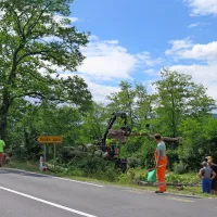 S posekom dreves bodo po mnenju občine in direkcije 
izboljšali varnost na cesti Kozina-Starod.
