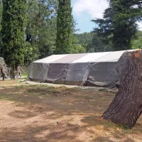 Ostanek 60 let starega borovca, ki ga je uničilo neurje, bodo 
pustili v spomin.